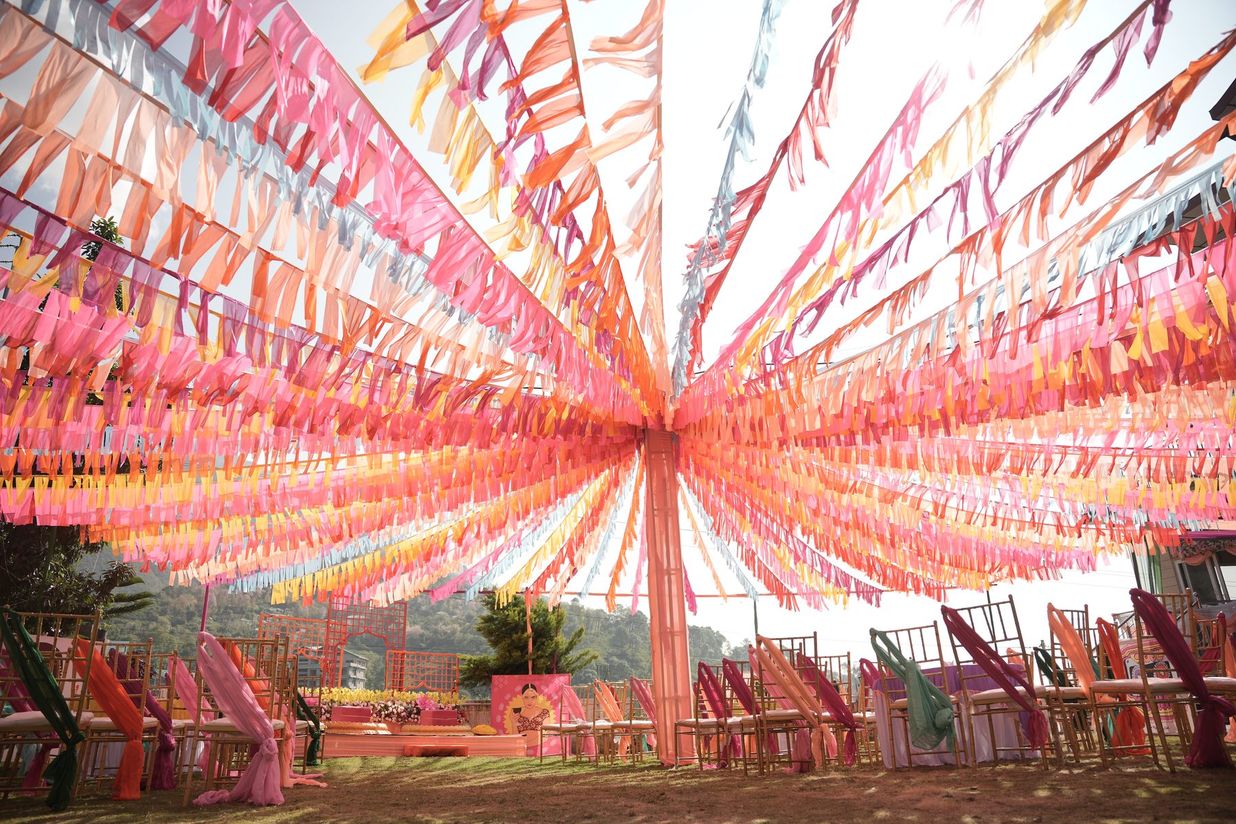 Ribbon canopy