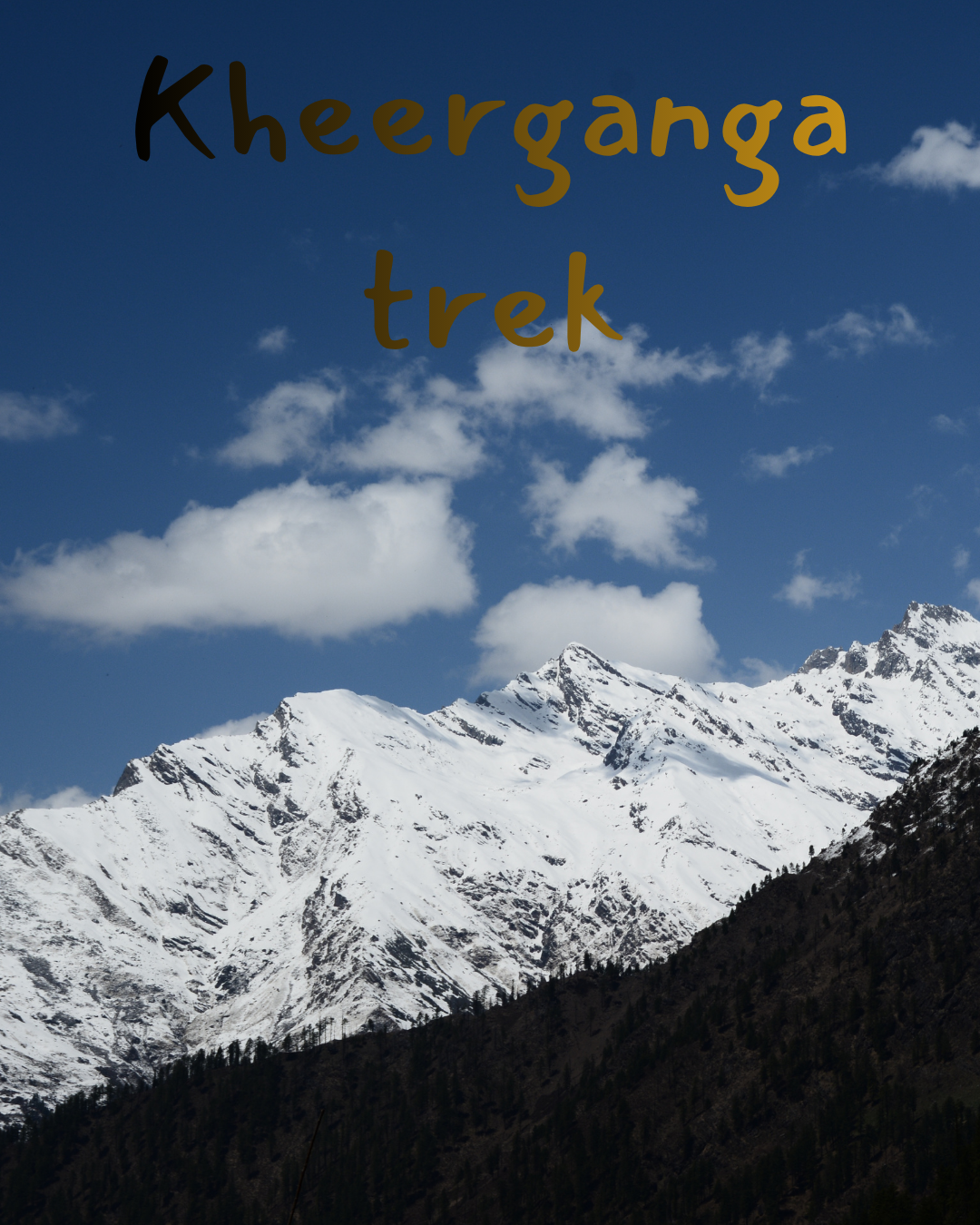 Trek 7