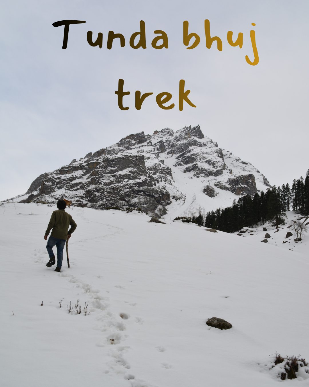 Trek 8